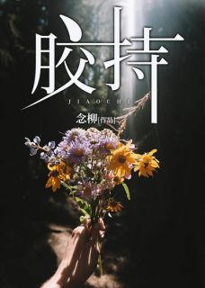 (独家)胶持丁茗厉衍琛小说