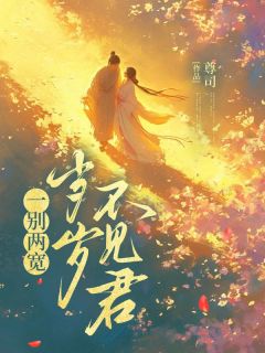 无广告小说一别两宽，岁岁不见君-岁岁孟钰在线阅读-暗夜阅读网