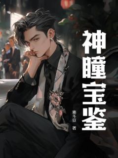赵亮李箐箐小说神瞳宝鉴完整章节