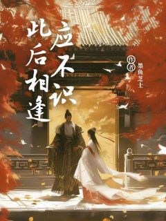 此后相逢应不识免费阅读全文，主角宋瑶陆玄霄小说