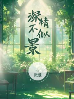 书荒推荐深情不似景(舒涵司景林翩然)在线试读