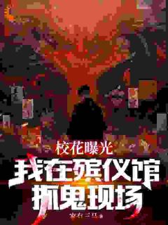 杨不凡陈清仪全章节阅读-校花曝光我在殡仪馆抓鬼现场全文分享阅读-暗夜阅读网