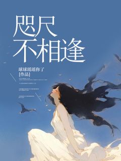 江淮沈初云全本章节在线阅读大结局-暗夜阅读网