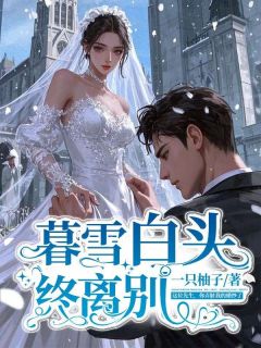 全章节小说暮雪白头终离别一只柚子最新阅读