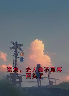 良心推荐贺总，夫人她不愿再回头了小说试读-暗夜阅读网