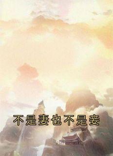 最新小说不是妻也不是妾主角谢知唯沈钰全文在线阅读-暗夜阅读网