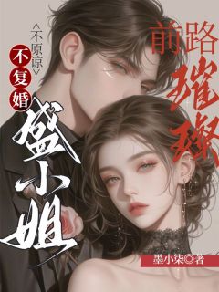 不原谅，不复婚，盛小姐前路璀璨！(盛宁秦湛)小说全章节目录阅读