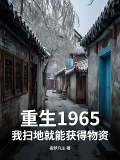 优质新书重生1965，我扫地就能获得物资最新章节小说全文阅读