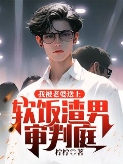 【我被老婆送上软饭渣男审判庭】小说在线阅读-我被老婆送上软饭渣男审判庭免费版目录阅读全文