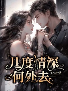 几度情深何处去全集小说_宋晚顾景川完结版阅读-暗夜阅读网