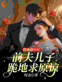 时念写的小说假死倒计时：前夫儿子跪地求原谅盛菀凝秦昼川全文阅读-暗夜阅读网