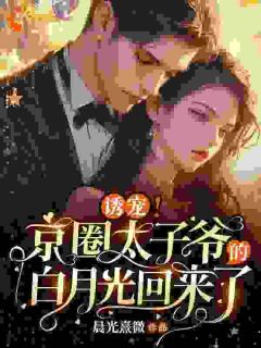 诱宠！京圈太子爷的白月光回来了全本小说（诱宠！京圈太子爷的白月光回来了）全文阅读
