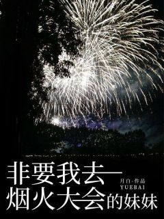 抖音热推小说非要我去烟火大会的妹妹全文在线阅读