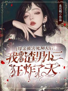 林苏纪承允母亲被害三十天后，我怒踩渣男小三狂炸了天全章节免费阅读