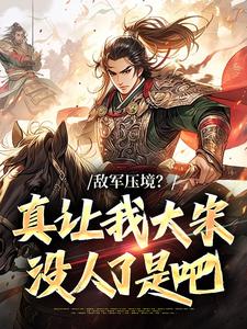 敌军压境？真让我大宋没人了是吧小说最后结局，燕然苏青莲百度贴吧小说全文免费