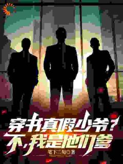 强烈推荐穿书真假少爷？不，我是他们的爹叶傲天叶战在线阅读
