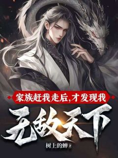 抖音爆款家族赶我走后，才发现我无敌天下完整小说（全文阅读）