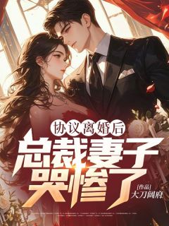 协议离婚后，总裁妻子哭惨了小说(完结)-林墨季月茹无删减阅读-暗夜阅读网
