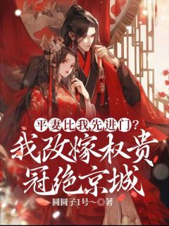 热文平妻比我先进门？我改嫁权贵冠绝京城小说-主角慕窈陆秩全文在线阅读