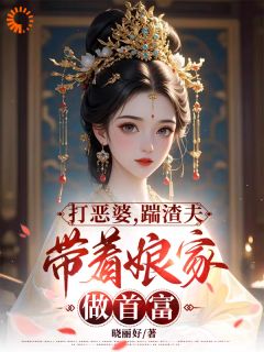 打恶婆，踹渣夫，带着娘家做首富(慕凌夜落月)全文章节在线阅读-暗夜阅读网