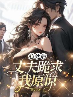 心死后，丈夫跪求我原谅妍妍林子安全章节目录免费阅读-暗夜阅读网