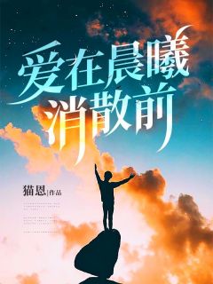 爱在晨曦消散前小说(完本)-秦远明苏言乔陆晓笙无错版阅读