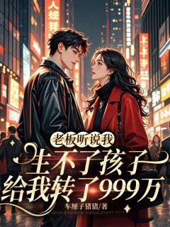 【老板听说我生不了孩子，给我转了999万】小说在线阅读-老板听说我生不了孩子，给我转了999万免费版目录阅读全文-暗夜阅读网