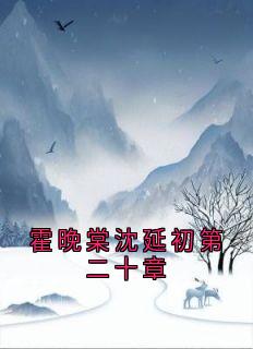 熬夜也要看完的霍晚棠沈延初第二十章小说推荐