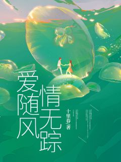 爱随风，情无踪宋佳怡沈安屿全本小说（爱随风，情无踪）全章节小说目录阅读