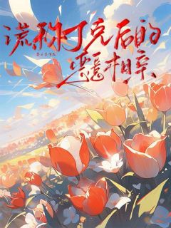 谎称丁克后的恶意相亲(全章节)-晴晴刘奎在线阅读-暗夜阅读网