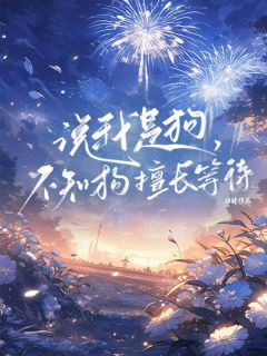 主角江瑾初沈屿澈小说，说我是狗，不知狗擅等待免费阅读全文