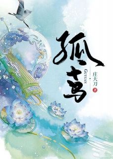 乔鸢飞赵渊小说孤鸢免费阅读
