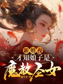 (抖音)新婚夜，才知娘子是魔教圣女李清廉沈玉书小说免费全文阅读-暗夜阅读网