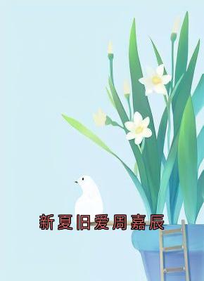 新夏旧爱周嘉辰连雾陆西野免费阅读-新夏旧爱周嘉辰连雾小说