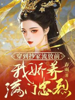 贺兰声沈斯聿是哪部小说的主角 穿到抄家流放前，我娇养满门忠烈全文无弹窗