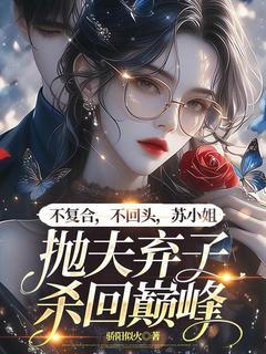 苏暖檀辞是哪本小说主角 不复合，不回头，苏小姐抛夫弃子杀回巅峰免费全章节阅读-暗夜阅读网