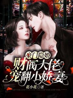 豪门隐婚，财阀大佬宠翻小娇妻小说(完结)-于浅浅君玿城章节阅读-暗夜阅读网
