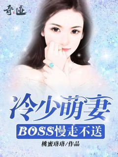 冷少萌妻：BOSS慢走不送小说免费阅读 洛晓靖冷御大结局完整版
