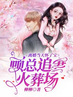主角叶倾城顾逸宸小说完整版-离婚当天怀了宝，顾总追妻火葬场免费阅读全文