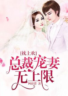 新上枕上欢：总裁宠妻无上限阿拉蕾小说免费阅读