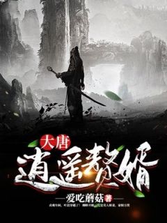 大唐逍遥赘婿大结局阅读 叶晨林清雪小说在线章节-暗夜阅读网