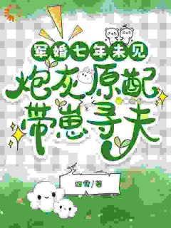 抖音军婚七年未见，炮灰原配带崽寻夫by四雪在线阅读