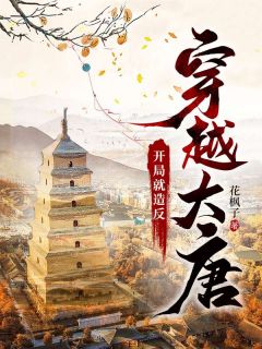 李愔李世民全本小说 穿越大唐：开局就造反全文免费在线阅读