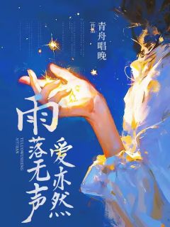 雨落无声爱亦然小说免费版阅读抖音热文-暗夜阅读网
