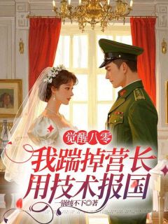 [抖音]小说徐时芳周卫军觉醒八零，我踹掉营长用技术报国