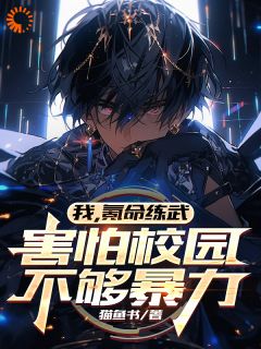 优质新书我，氪命练武，害怕校园不够暴力最新章节小说全文阅读