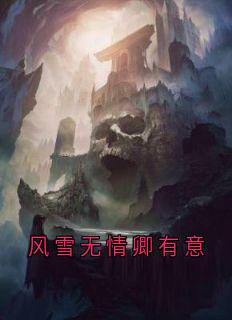 百度贴吧小说风雪无情卿有意，主角白浅玄溟全文免费-暗夜阅读网