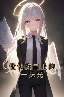 做他奖章上的一抹光季檬江辰煜-小说txt全文阅读
