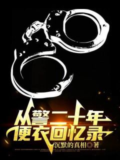 从警二十年，便衣回忆录小说高峰林宇免费阅读