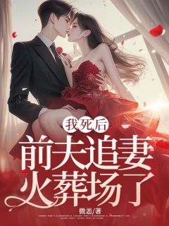 书荒必备苏音傅斯年小说-暗夜阅读网